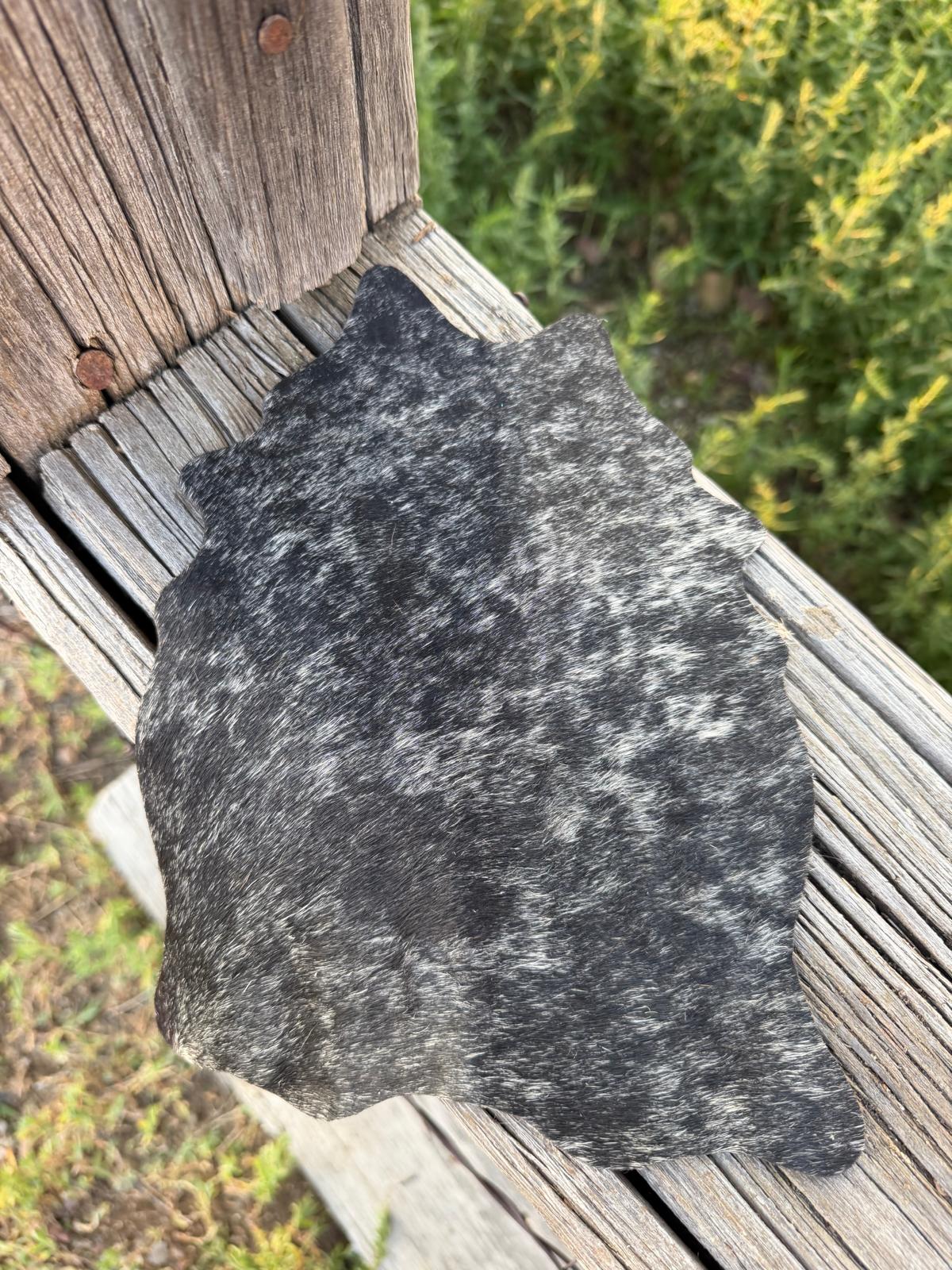 Chief Mountain Cowhides