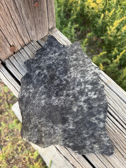 Chief Mountain Cowhides