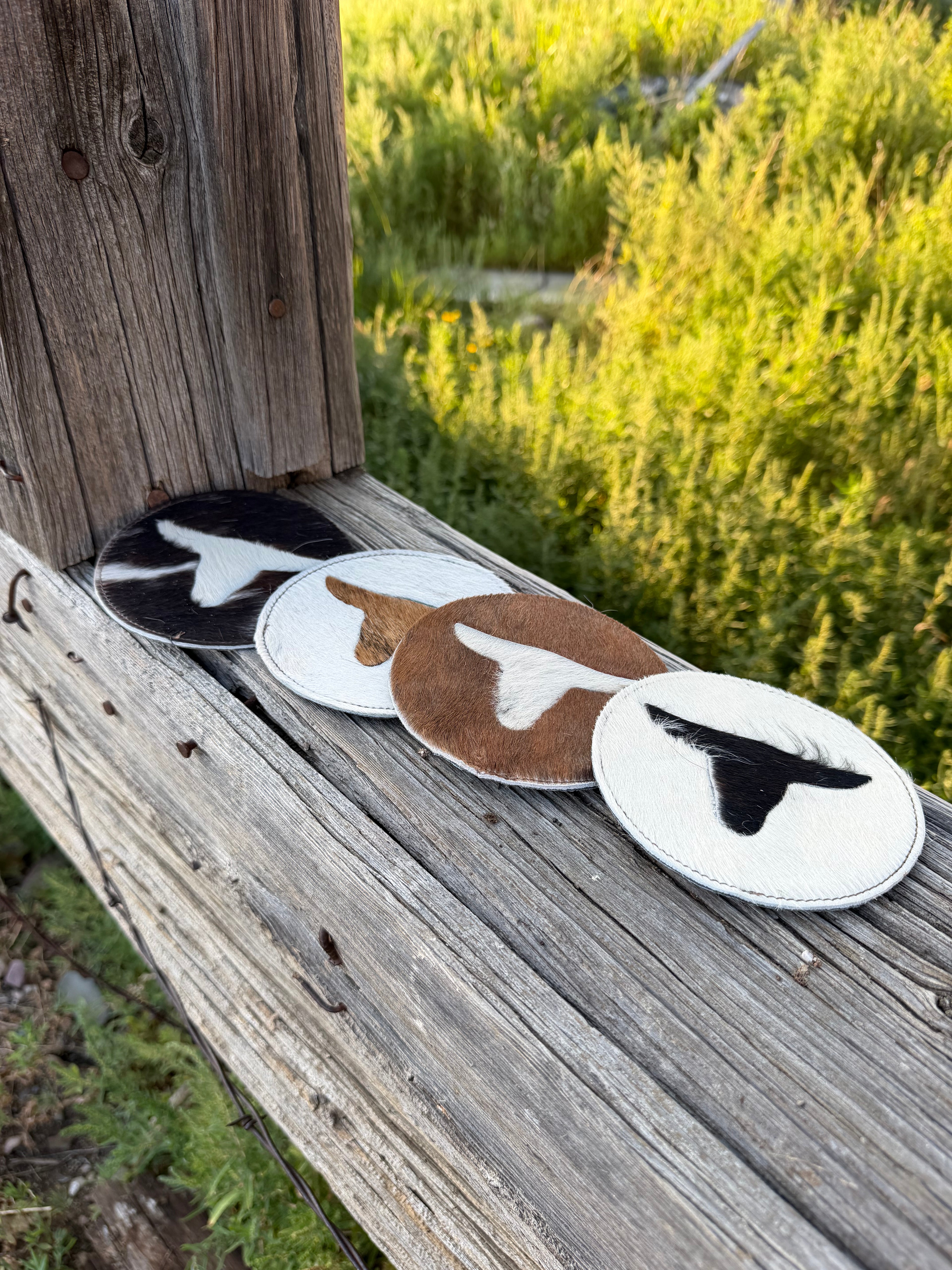 Cut Bank Coasters