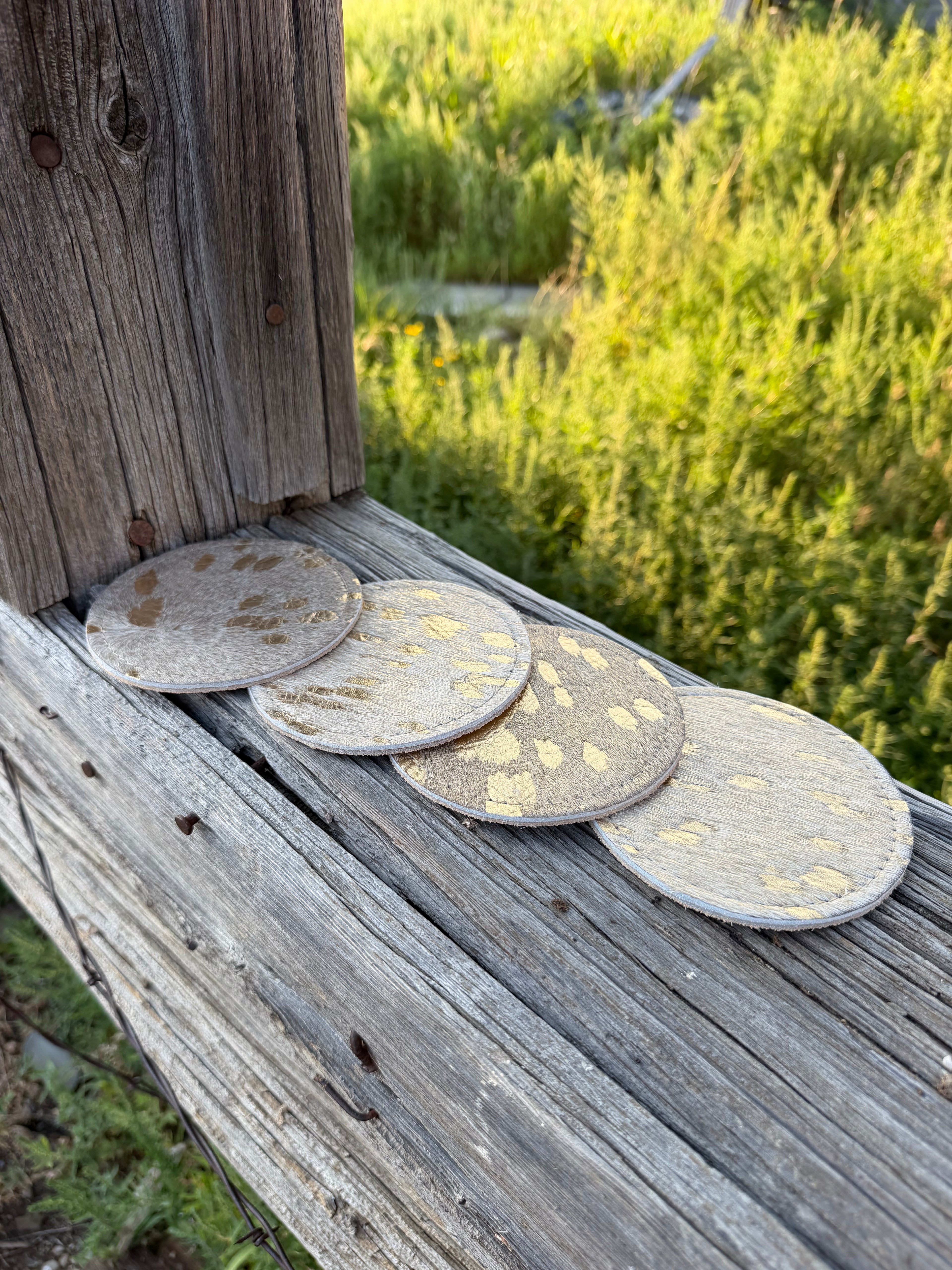 Cut Bank Coasters